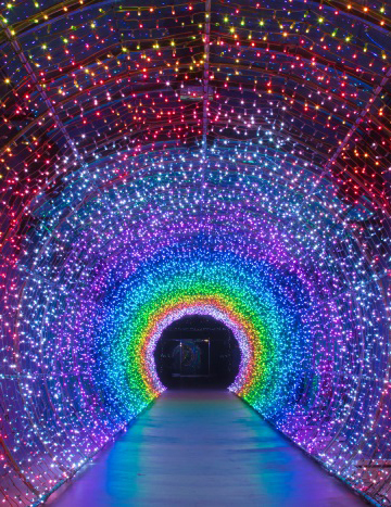 Suyanggae Light Tunnel