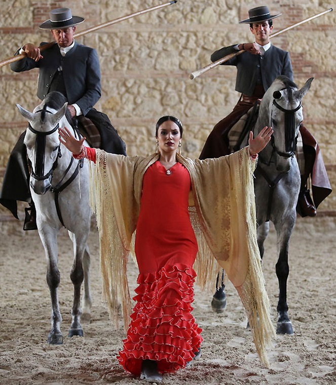 Andalusian horse dance Cordoba